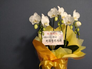 気楽に屋(KIRAKUNIYA)/お花