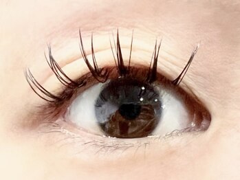 パキラ(Pachira)/個性派★束まつ毛デザイン