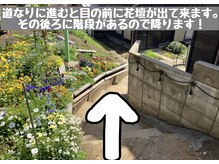 ルーナ(LUNA)/【道案内】JR成田駅～店舗(7)