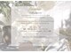 イミューンプラス(immune+)の写真