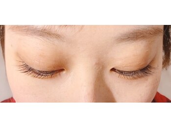 テイラー(Taylor)/120本　SATO