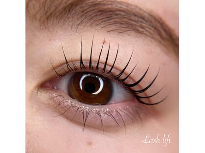 スワロー(Swallow)の写真