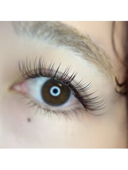 ポピー(POPPY)/ダブルフラットカラー100束