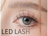 【LEDマツエク】次世代まつげエクステ!×圧倒的持続力　5Ｄボリューム140束迄