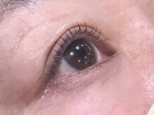 ピクシーボブ(Pixie Bob)/★根本から毛先までカール