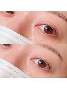 シピリカ(Shiprica.)/