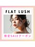 【8/27.28.29限定】オフ無料/ぱっちりかわいい◎フラットラッシュ120本