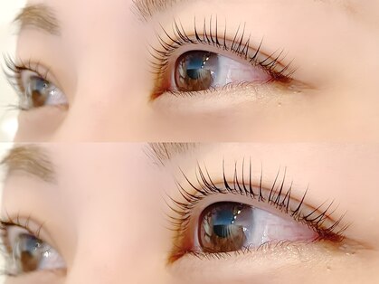 ウィット(wito)の写真