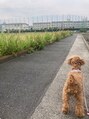 ポーラ enna店(POLA)&nbsp;我が家の愛犬との散歩中のワンショット
