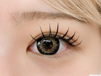 サレヤ(Sareya)/&healthy×ダブルフラット80束