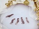 季節限定ニュアンスネイル(4)