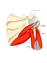 かんとま整骨院 中区鶴舞院/クワドリラテラルスペース
