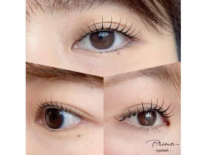 プリマ(Prima)の写真