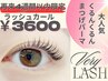 [4週間以内]潤いまつげパーマ★くるんとカール【ラッシュカール】¥3600
