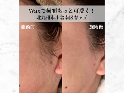 ベーヤ(Bella)の写真