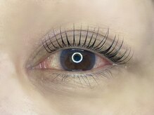 ルピナス 川口(Lupinus)/パリエク60本