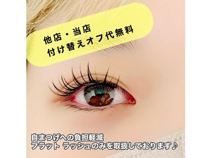 エース(Ace)の写真