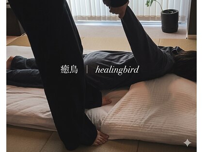 ヒーリングバード(healingbird)の写真