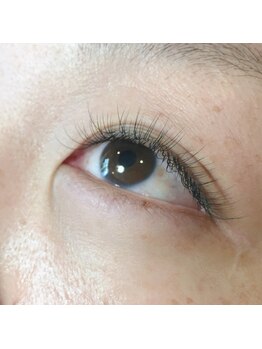 ウタ アイラッシュ(uta eyelash)/【140本】