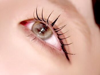 マリーメリー(marie merry)/アンドヘルシー