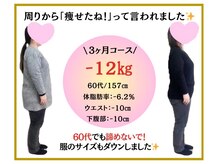 ビオ整体院 知立院/ダイエット実績(痩身/整体)