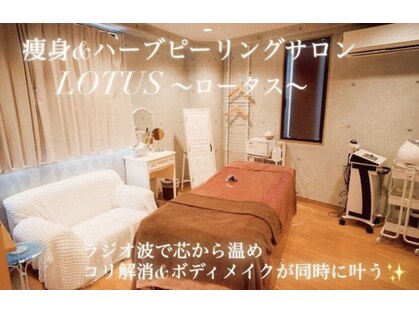 ロータス(Lotus)の写真