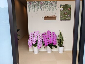 ボディコンシェルジュ/店内入口