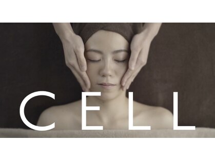 セル(CELL)の写真