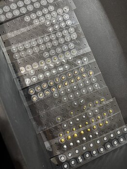 オール バイ ワンネス(ALL by One'Ness)/