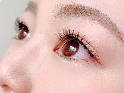 ルッカ(lukka)の写真