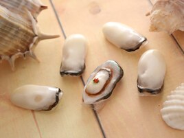 牡蠣ネイル