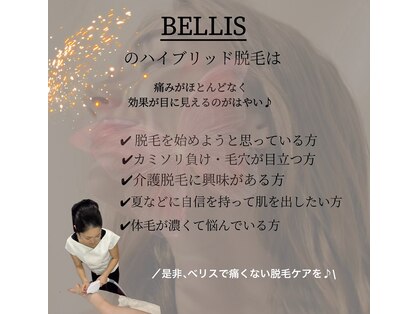 ベリス(BELLIS)の写真