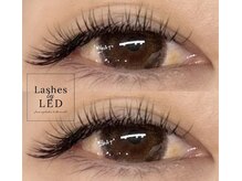 ウィート(WHeAT)/ボリューム40束+フラット120本