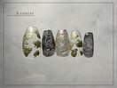 【パラジェル】モードネイル