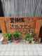 整体院ケンツハウス(KENTZHOUSE)の写真/スマホの使い過ぎ・デスクワークの方におすすめ◎お悩みの箇所に合わせた施術で、慢性的な頭痛改善に♪