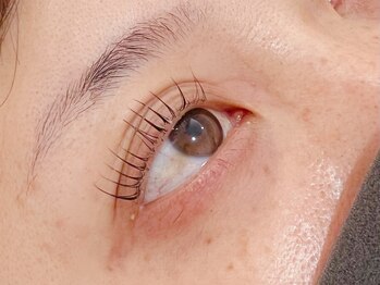 ルコル(Lecoeur)/パリジェンヌラッシュリフト