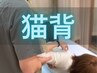 BMK猫背矯正│デスクワークの方に