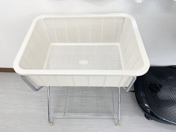 按摩仙人/内観