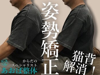 あおば整体院 フィールアイアイプラザ中川八田店/気になる姿勢、変わります！