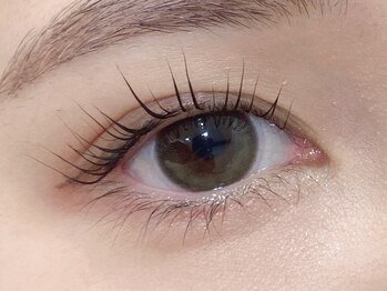 プラスアイ 銀座中央通り店/まつ毛パーマ 担当:國井