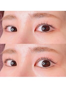 シピリカ(Shiprica.)/