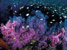 アジアンリラクゼーション ヴィラ 福岡東店(asian relaxation villa)/タイ：ランタ島