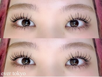 エバートーキョー(ever tokyo)/*パリエク D13