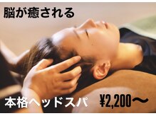 眠りの魔法使い