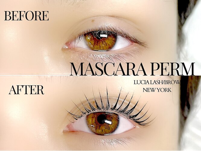 Lucia Lash/Brow shinjuku /lash Lift /brow lamination /Eyelash extension 新宿 マスカラパーマ/まつ毛パーマ/マツエク/眉毛サロン