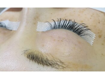 ルプリュシュ ルフレ(Le plus reflet)/マツエク/フラットラッシュ