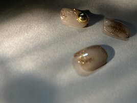 定額】100 Simple/6600yen