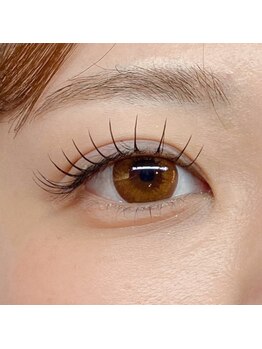 ラヴィータエベッラ(La Vita e Bella)/フラットラッシュ120本