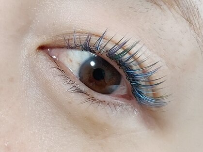 マツ(MATSU)の写真