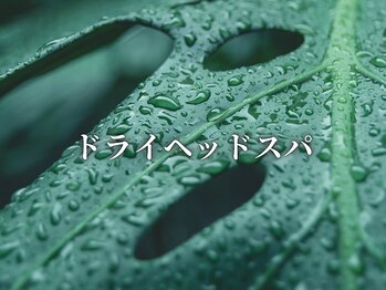 リーフ 本町店/リーフの人気急上昇メニュー！！